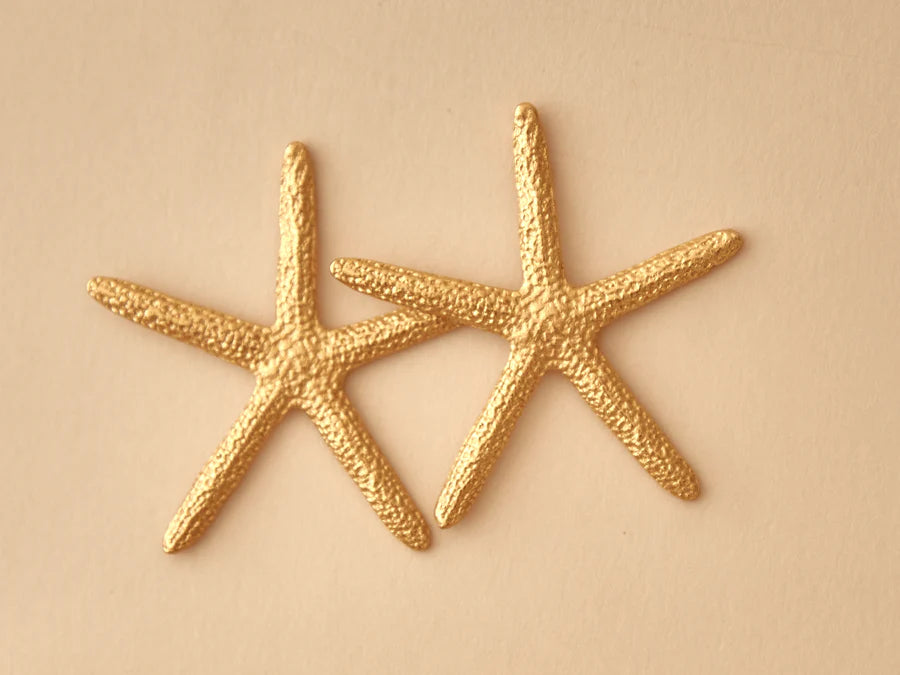 ARETES ESTRELLA DE MAR