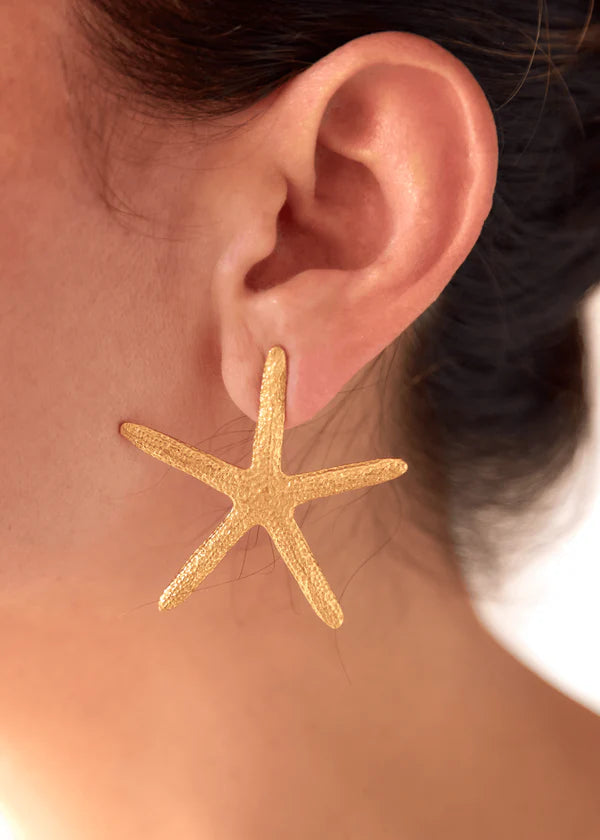ARETES ESTRELLA DE MAR