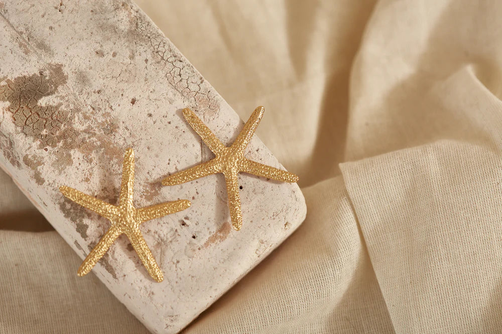 ARETES ESTRELLA DE MAR