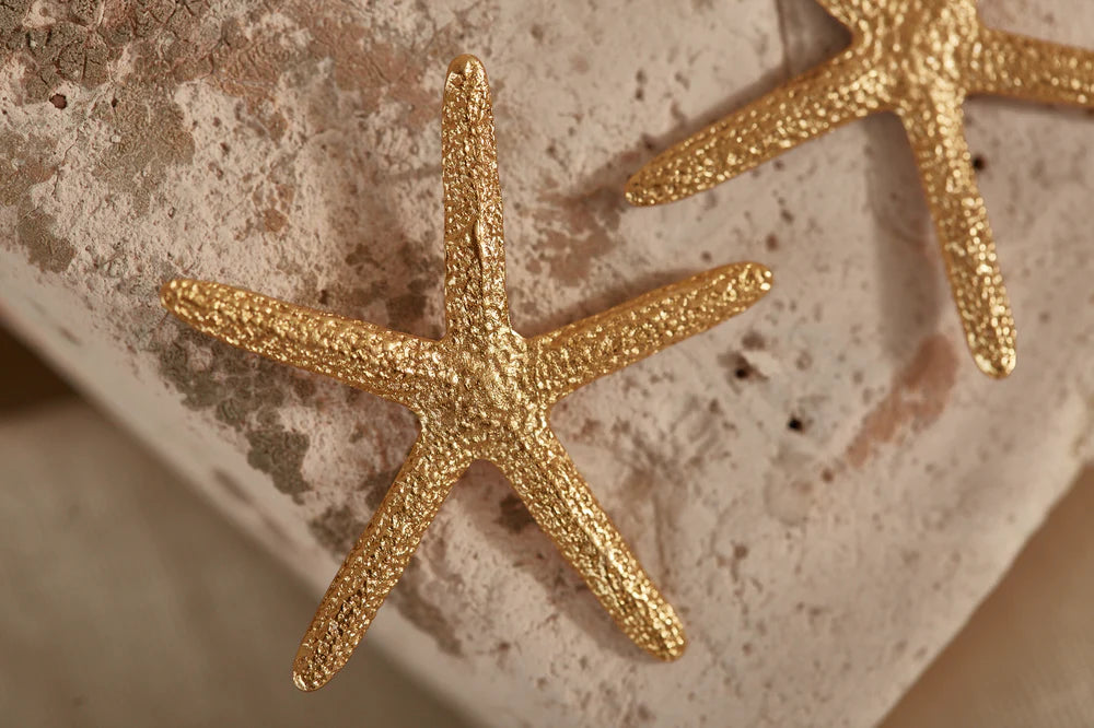 ARETES ESTRELLA DE MAR