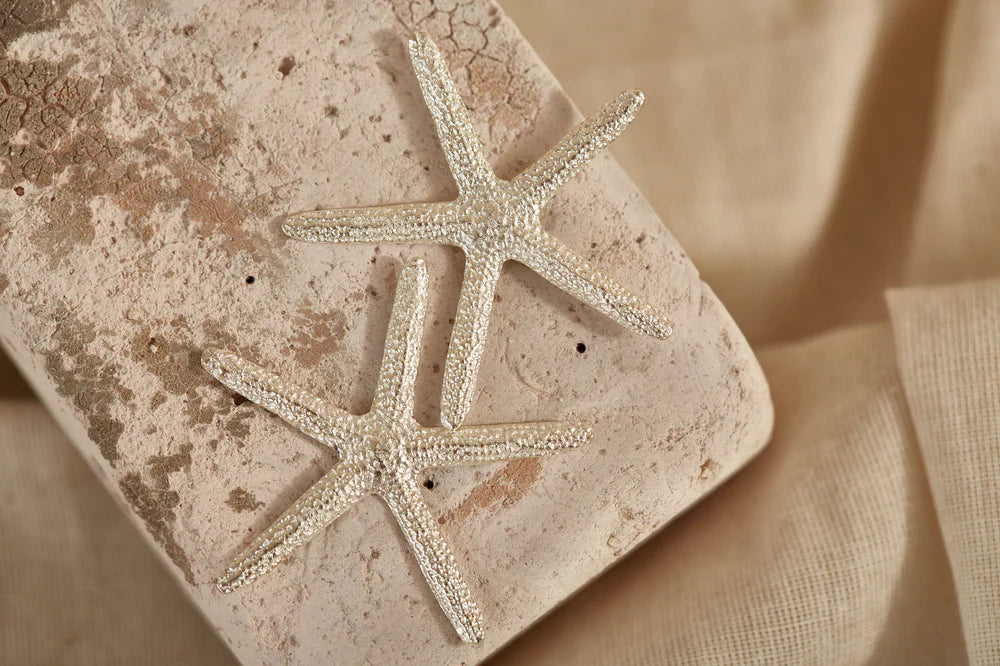 ARETES ESTRELLA DE MAR