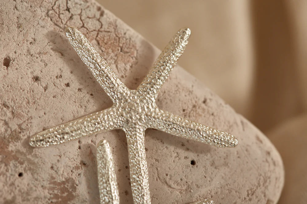 ARETES ESTRELLA DE MAR