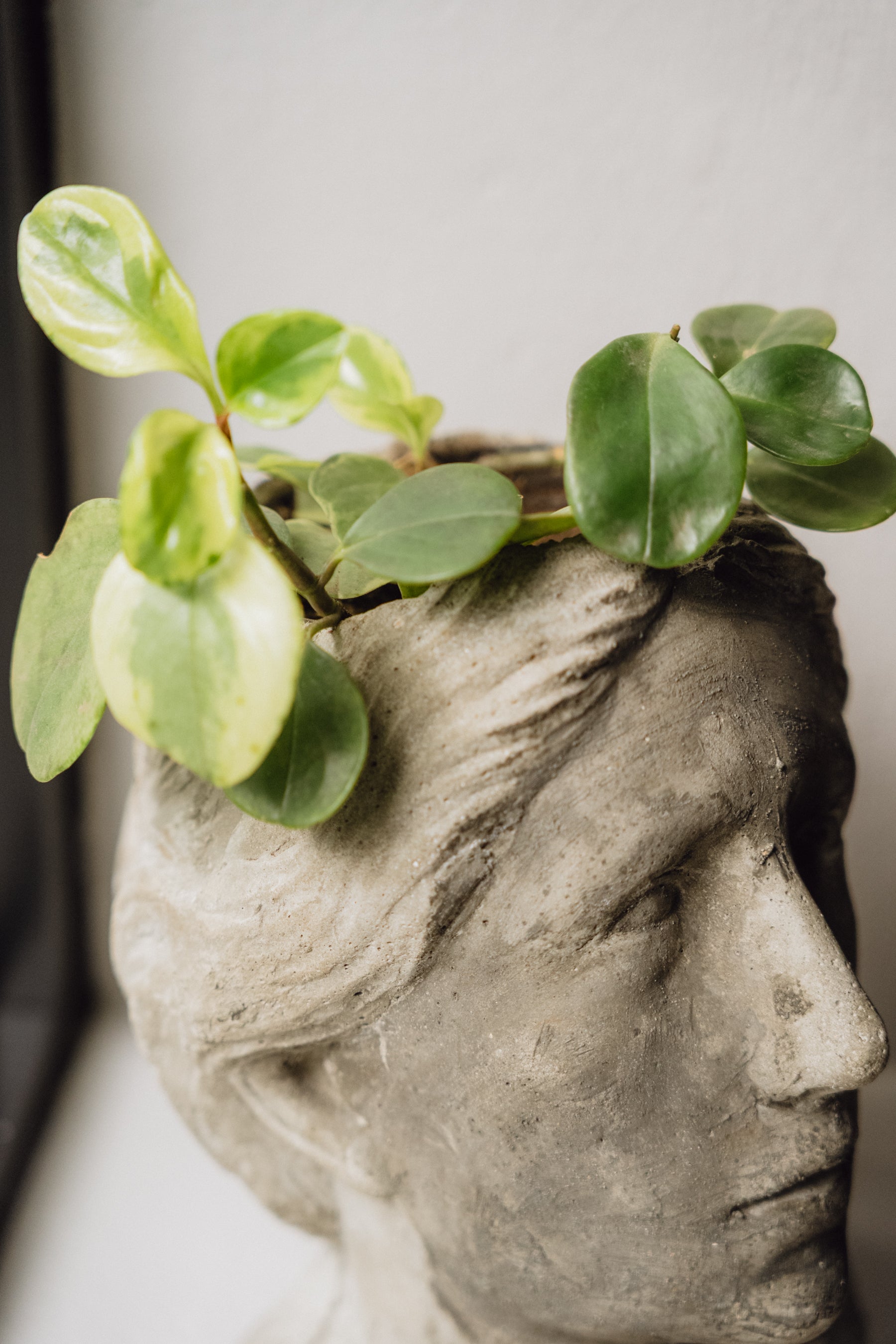 CABEZA MATERA CONCRETO