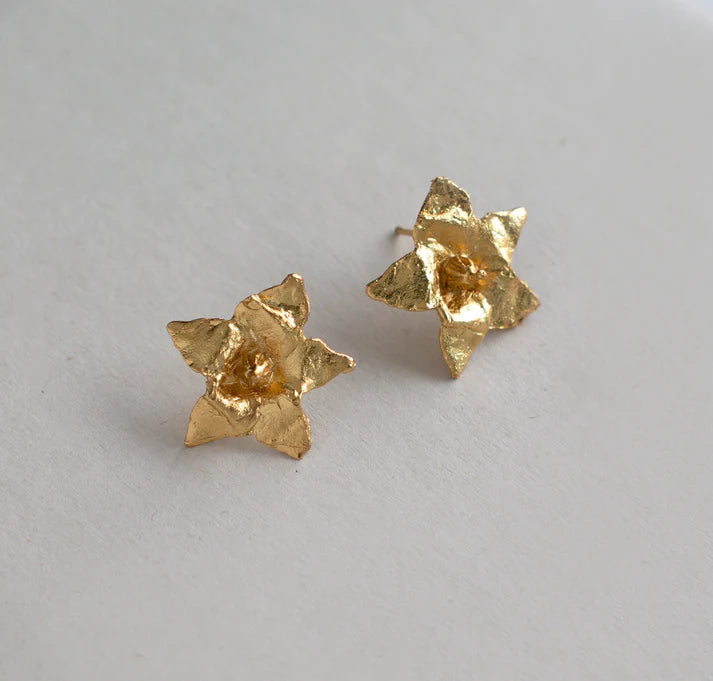 ARETE FLOR PAPA