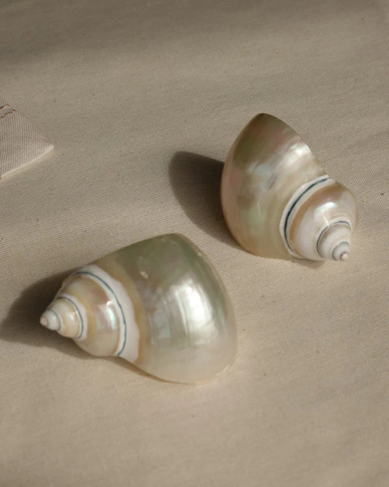 SET SERVILLETERO CONCHA - Makeno