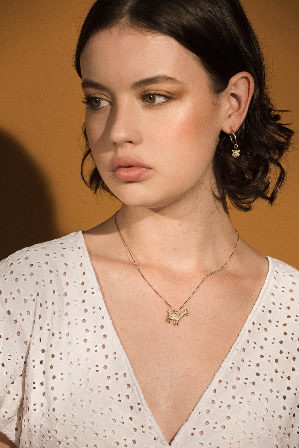 COLLAR ALPACA